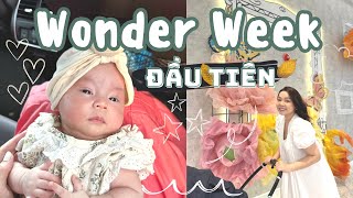 Cách Xử Lý Wonder Week Của Ba Mẹ Đã Có Kinh Nghiệm🤭Wonder Week Đầu Tiên Của Em Bé❤️ TrinhPhamFamily [upl. by Nnyw983]