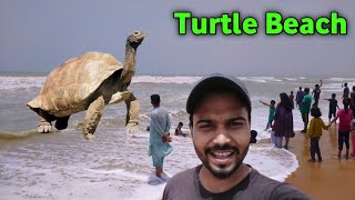 Turtle beach karachi  turtle beach 2022  manora beach karachi  karachi samandar [upl. by Akimot]