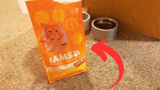 Why We Chose the Iams Chicken Cat Food How Does it Compare [upl. by Paxton546]