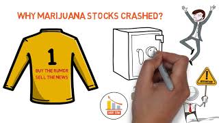 Why Marijuana stocks CRASHED Aurora drop explained [upl. by Steck867]