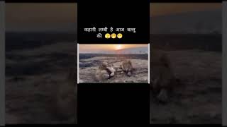 bahut lambi kahani hai Billu ki shrabi 😂😂comedy areitanakoipagalnahosake buntycomedy [upl. by Evy]