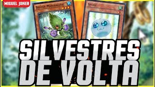 Sylvans are Back Silvestre de Volta Yugioh Duel Links [upl. by Yarehs]