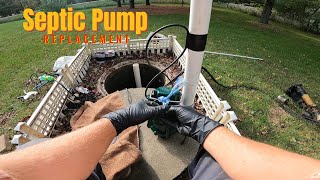 Effluent Pump Septic Pump And Floats Replacement [upl. by Staw]