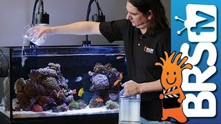 How To Dosing 2 Part in Your Reef Tank [upl. by Aubrey946]