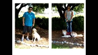 Service Dogs for disabled veterans at 4 Paws 4 Patriots [upl. by Dorca]