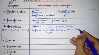 Enzyme classification with subclasses amp examples  Only in 5 minutes  Mnemonics [upl. by Adlay]