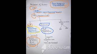 6 mercaptopurine mechanism of action [upl. by Barclay]