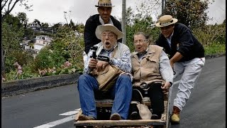 Carros de cestos in Funchal [upl. by Barling]