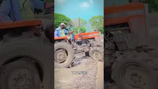 TAFE Tractor sri lankan agriculture harvesterkingdom trending subscribe chenal [upl. by Nhguav924]