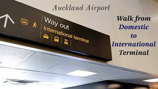 Auckland Airport Walk between Terminals ‖ Domestic to International [upl. by Sanborn]