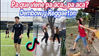 Dembow y Reggaeton  El Alfa Yandel Myke Towers  TikToks mas virales 🔥 mami llegale a la mezcla [upl. by Leina504]