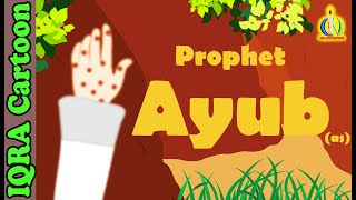 Prophet Stories AYUB AS  Islamic Cartoon  Quran Stories  Islamic Children Kids Videos  13 [upl. by Ibmat]