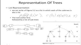 Tree 2 Representation of trees [upl. by Eisse]