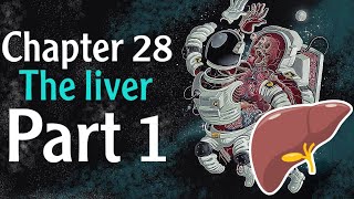 Physiology chapter 28 The Liver part 1  فسلجة وزاري [upl. by Carpio974]