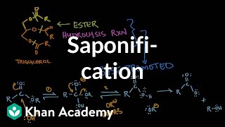 Saponification  Base promoted ester hydrolysis  MCAT  Khan Academy [upl. by Yllib]