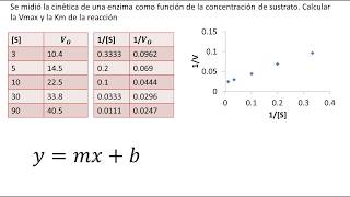Cinética enzimática Método de Eadie Hofstee [upl. by Ardnuahc475]