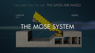 THE MOSE SYSTEM [upl. by Rafael]