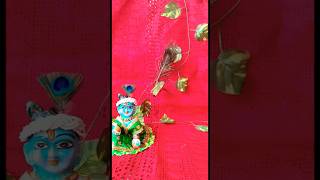 Laduu gopal ji ☺️ jaishreekrishna radheradhe krishnastatus viralvideo trendingshorts shorts [upl. by Nosloc]