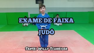 Exame para faixa CINZA Professor Willy Schneider [upl. by Siravat456]