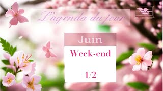 L’AGENDA DE LA SEMAINE weekend du 1 et 2 juin 2024 timer dans le premier commentaire tarot [upl. by Haliehs429]