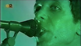 Mercury Rev  Live Spain Full Show [upl. by Brass459]