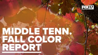 The leaves are changing Heres your fall foliage forecast for Middle Tennessee [upl. by Zubkoff963]