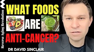 What FOODS Are AntiCancer  Dr David Sinclair Interview Clips [upl. by Zelten205]