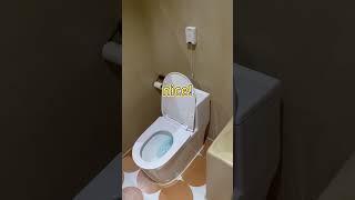 Infrared Sensor Flush It is very easy to have a smart toilet [upl. by Adnilra]