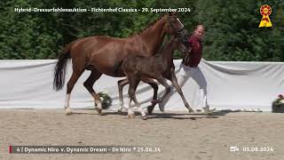 Lot 4 v Dynamic Dream  De Niro [upl. by Iveson]