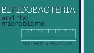 Bifidobacteria  Role in Gut Health  Weight Loss [upl. by Camala]