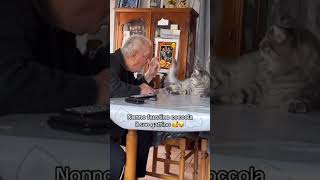 nonno faustino coccola il suo gattino carlettolife nonnofaustino persiano [upl. by Asilegna]