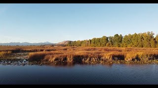 Woodriver Wetlands Site Visit [upl. by Rakso]