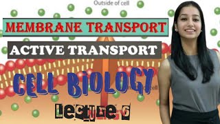 Membrane Transport Part IIPrimary Active TransportCell Biology L6CSIRNETGATEIITJAMLife Science [upl. by Irmo]