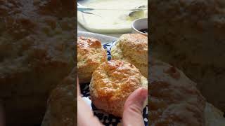 🇬🇧Homemade Clotted Cream 自製凝脂奶油 clottedcream scone recipe  食譜 凝脂奶油 [upl. by Zillah30]