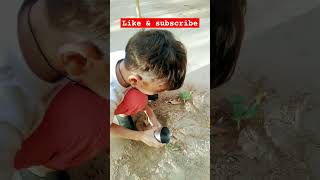 Garishma love plants viralvideo shortvideos funnykide cute [upl. by Naiviv554]