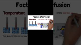 GCSE Exam Tips 3 Diffusion shorts shortsvideoviral gcse igcse [upl. by Aekerly]