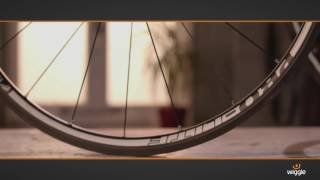 ProLite Bortola C28W Carbon Clincher Wheelset [upl. by Annoyt]