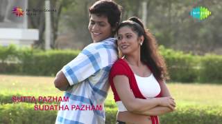 Sutta Pazham Sudatha Pazham  Jukebox [upl. by Lebisor899]