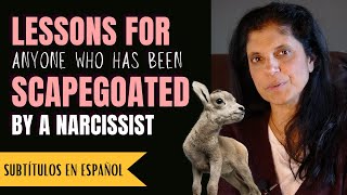 Lessons for anyone who was scapegoated by a narcissist Narcissistic Family Roles [upl. by Enomar]