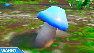 Consume Foraged Mushrooms EASY METHOD Worlds Collide Challenge  Fortnite [upl. by Lidstone]