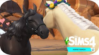 Trying for a foal  The Sims 4 Horse Ranch  5 [upl. by Anairdna550]