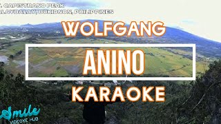 ANINO  WOLFGANG  karaoke [upl. by Gilda]