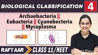 Biological Classification 04  Archaebacteria l Eubacteria l Mycoplasma l Class 11NEET  RAFTAAR [upl. by Alisan]