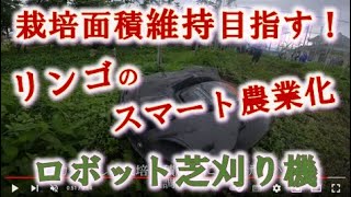 【スマート農業】リンゴの高密植矮化栽培、傾斜ありの園地にも対応！／ロボット芝刈り機実演 ＪＡ全農長野（長野県上水内郡飯綱町） [upl. by Rochester]