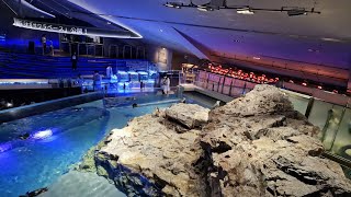 sumida Aquarium trip japan 2023 4k [upl. by Yrreiht322]