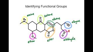 Identifying Functional Groups in Organic Structures  Chemistry Practice Problems [upl. by Namas]