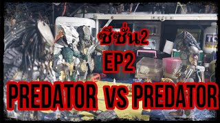 PREDATOR VS PREDATOR EP2 ซีซั่น2 [upl. by Markland783]