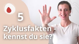 5 spannende Fakten über deinen weiblichen Zyklus  hättest du es gewusst [upl. by Aivat]