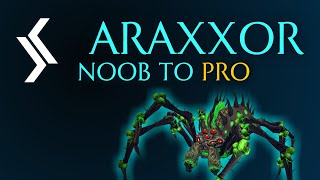 Rax Noob To Pro  Araxxor Solo Guide Ranged  RuneScape 3 [upl. by Gavini]