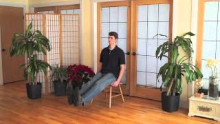 Mindful Chair Yoga A Complete Beginners Practice 40 minutes [upl. by Adeirf]